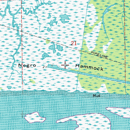 Topographic Map of Negro Hammock, LA