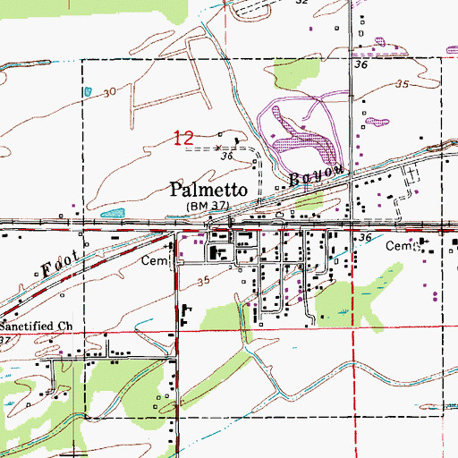 Topographic Map of Palmetto, LA