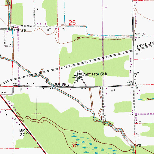 Topographic Map of Palmetto School, LA