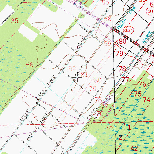 Topographic Map of Pecan Tree Canal, LA