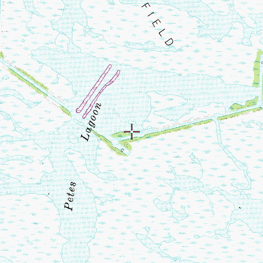 Topographic Map of Petes Lagoon, LA