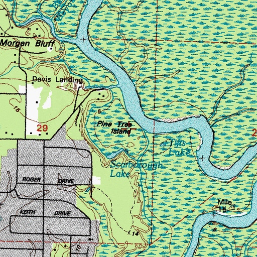 Topographic Map of Pine Tree Island, LA