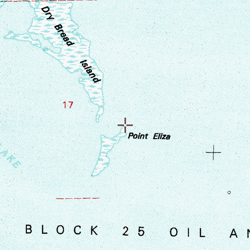Topographic Map of Point Eliza, LA