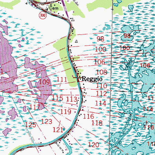 Topographic Map of Reggio, LA