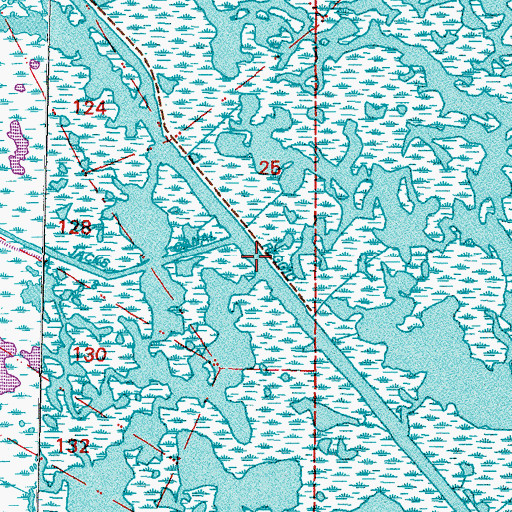 Topographic Map of Reggio Canal, LA