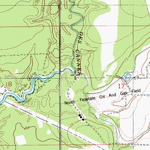 Topographic Map of Richards Gully, LA