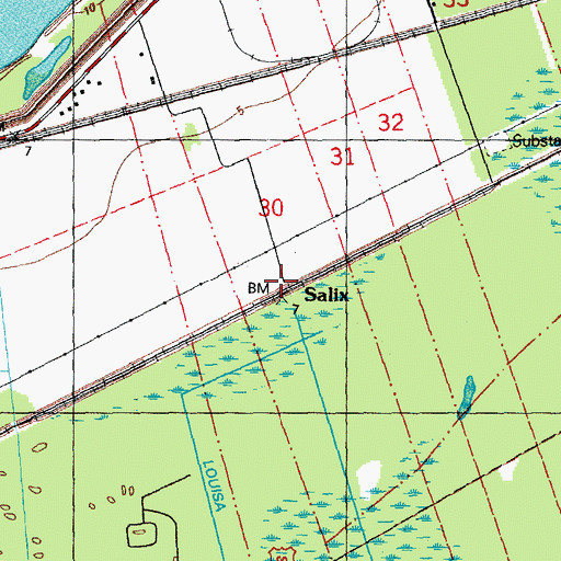 Topographic Map of Salix, LA
