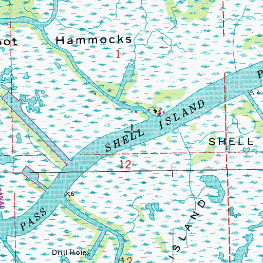 Topographic Map of Shell Island Pass, LA