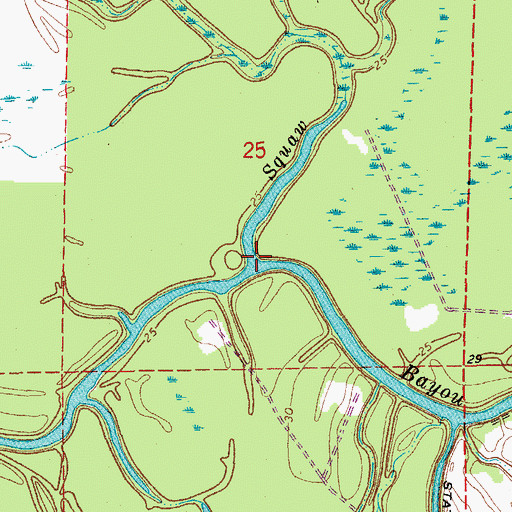 Topographic Map of Squaw Bayou, LA