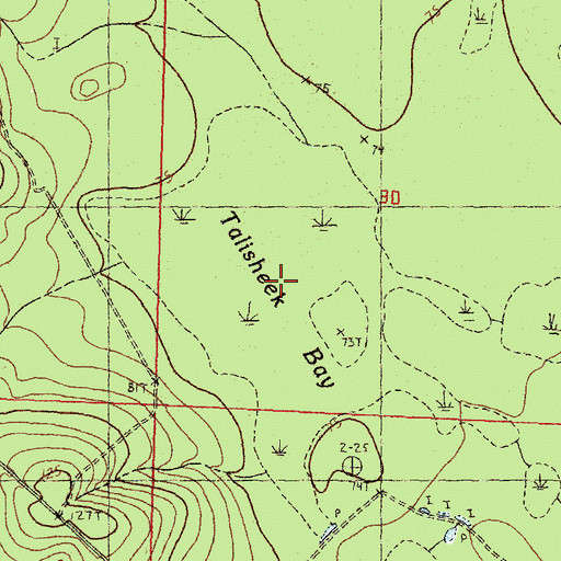 Topographic Map of Talisheek Bay, LA