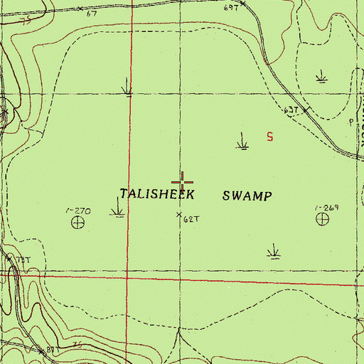 Topographic Map of Talisheek Swamp, LA