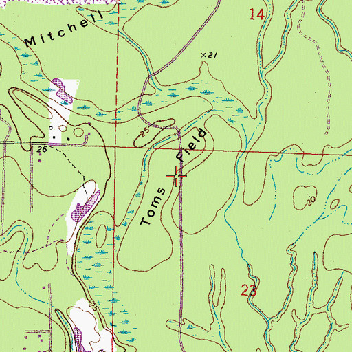 Topographic Map of Toms Field, LA