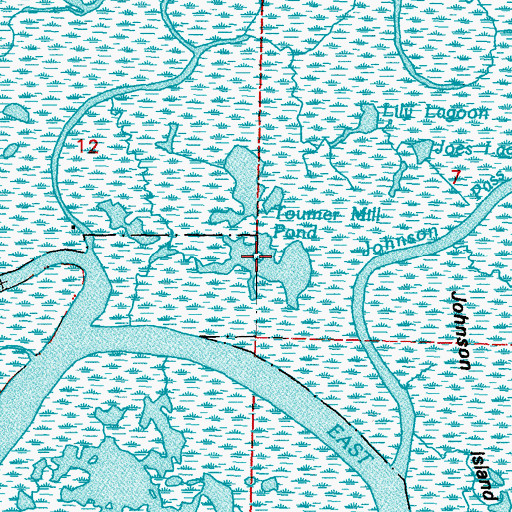 Topographic Map of Toumer Mill Pond, LA