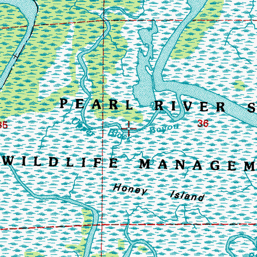 Topographic Map of Upper Black Bayou, LA