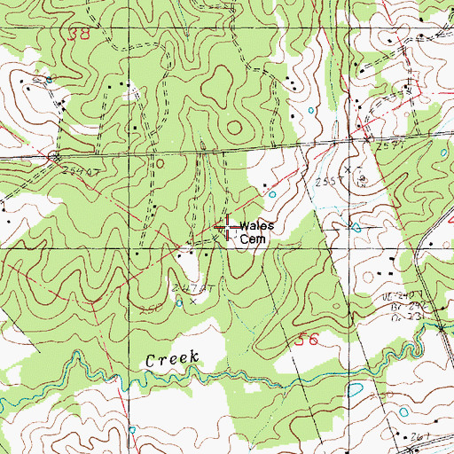 Topographic Map of Wales Cemetery, LA