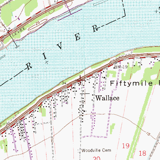 Topographic Map of Wallace, LA