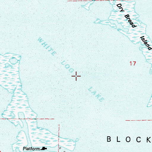 Topographic Map of White Log Lake, LA