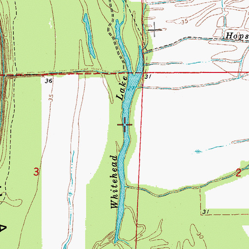 Topographic Map of Whitehead Lake, LA