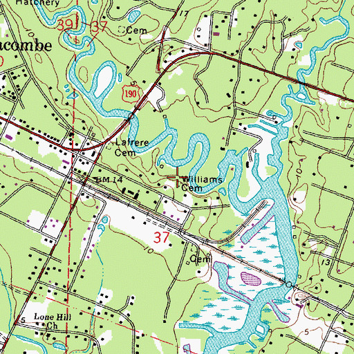 Topographic Map of Williams Cemetery, LA