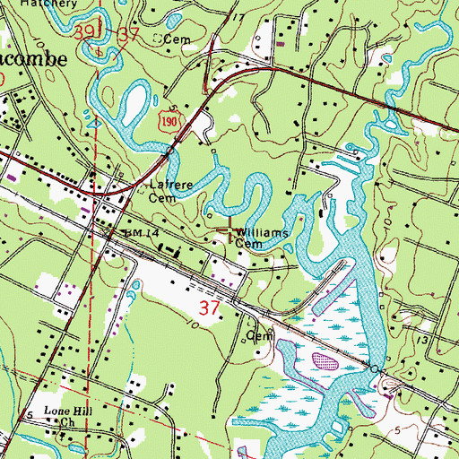 Topographic Map of Williams Cemetery, LA