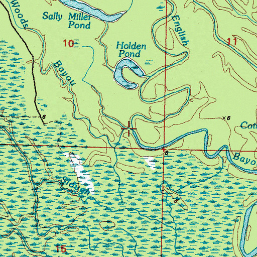 Topographic Map of Woods Bayou, LA