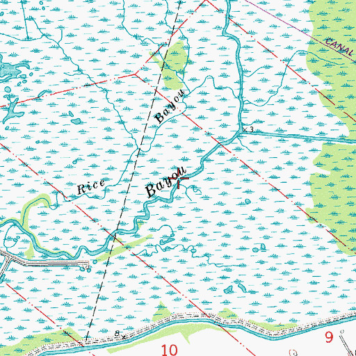 Topographic Map of Yellow Bayou, LA