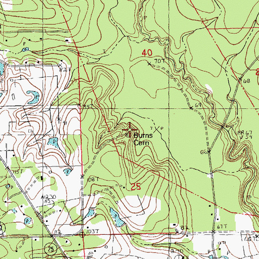 Topographic Map of Burns Cemetery, LA