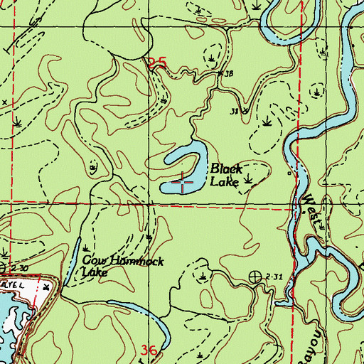 Topographic Map of Black Lake, LA