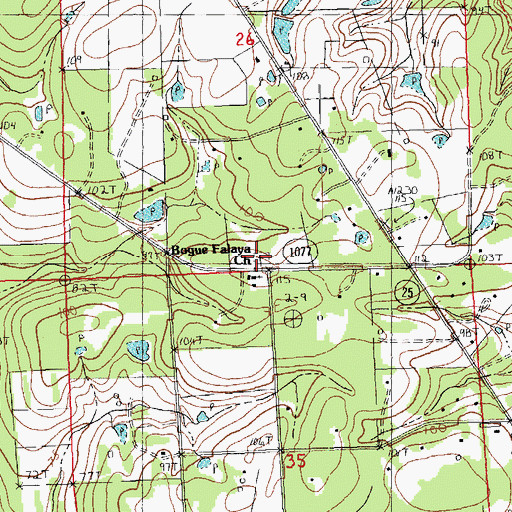 Topographic Map of Bogue Falaya Cemetery, LA
