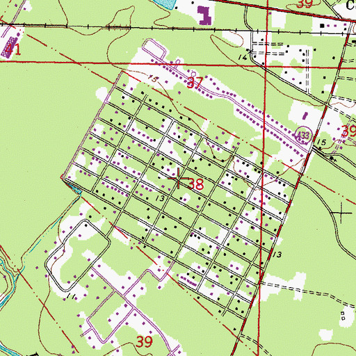 Topographic Map of Ozone Woods, LA