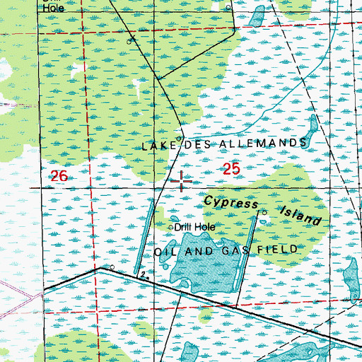 Topographic Map of Lake Des Allemands Oil and Gas Field, LA