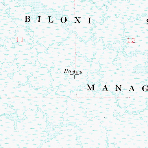 Topographic Map of South Branch Grand Bayou, LA