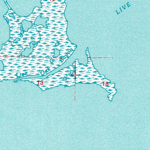 Topographic Map of Turtle Pen Isle, LA