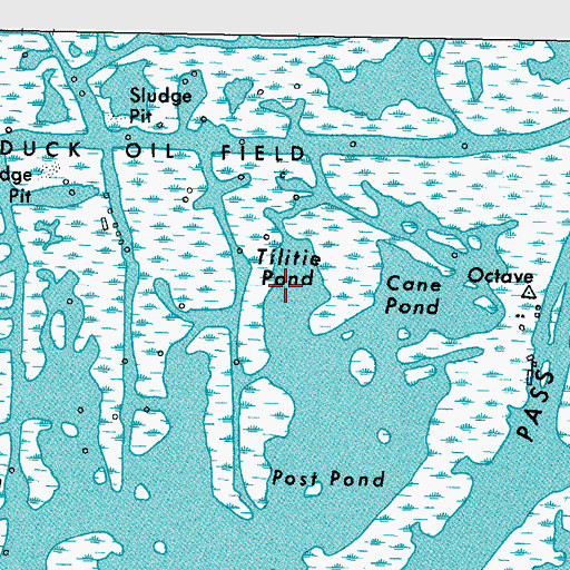 Topographic Map of Tilitie Pond, LA