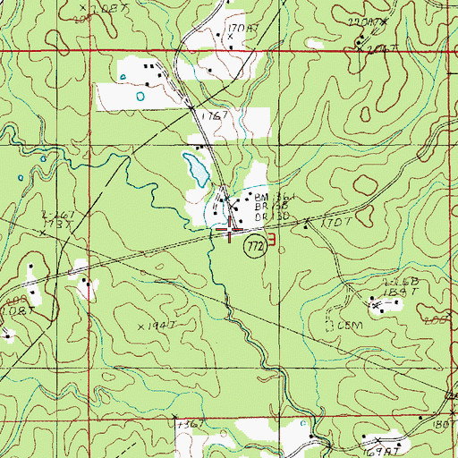 Topographic Map of Routon, LA