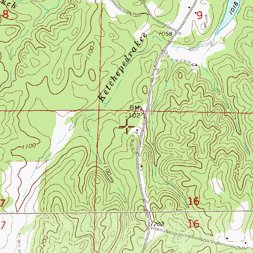 Topographic Map of Freeman Pit, AL