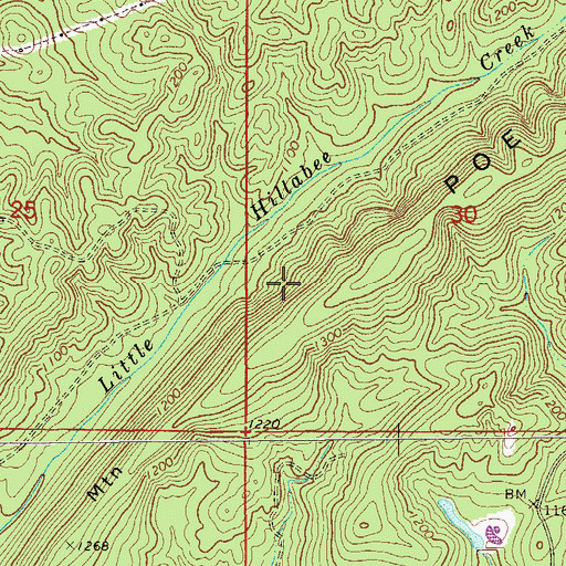 Topographic Map of Superior Mine, AL