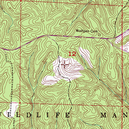 Topographic Map of Hunter Camp, AL