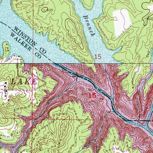 Topographic Map of Racoon Branch, AL