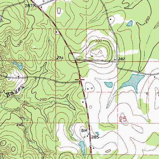 Topographic Map of Manning (historical), LA