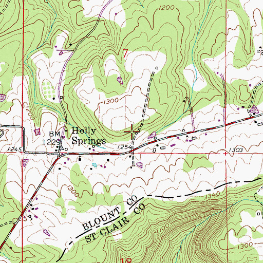 Topographic Map of Buck Ridge, AL