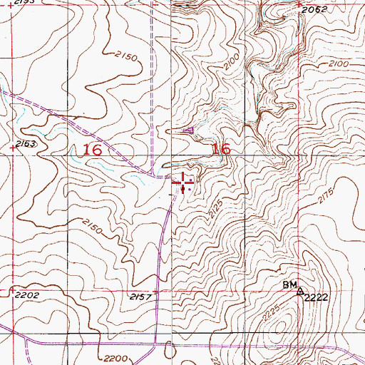 Topographic Map of 28N54E16DBBD01 Well, MT