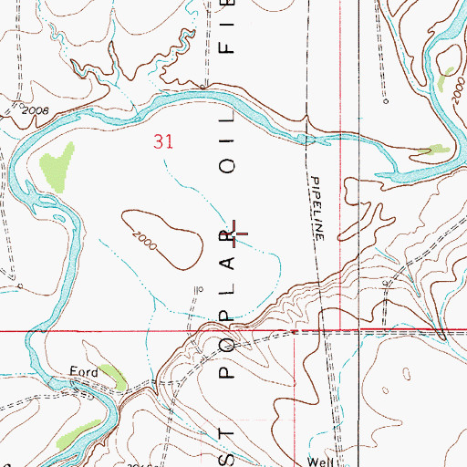 Topographic Map of 29N51E31DBDD01 Well, MT