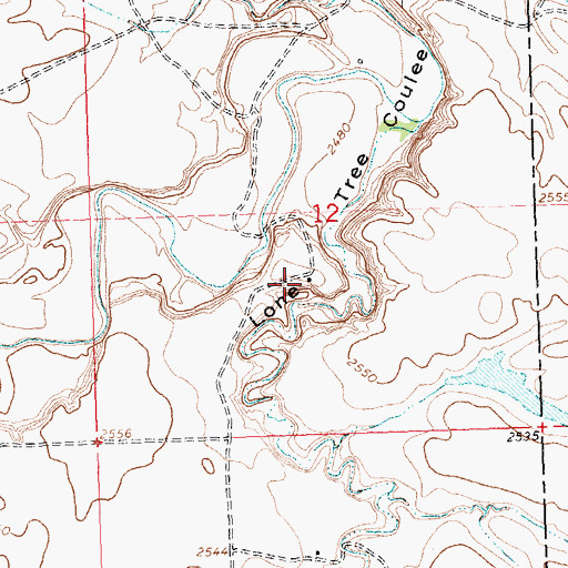 Topographic Map of 29N25E12CADA01 Well, MT