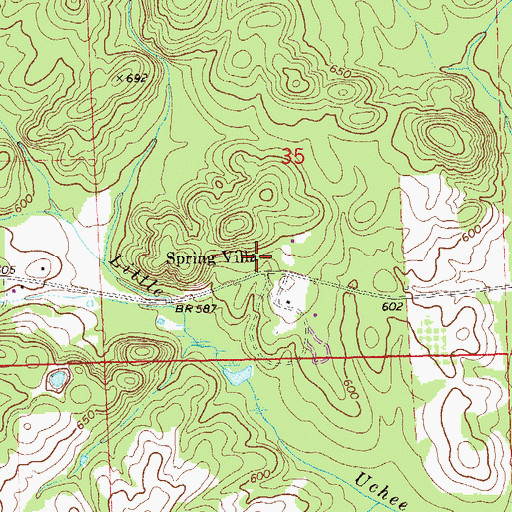 Topographic Map of Penn Young Gravesite, AL