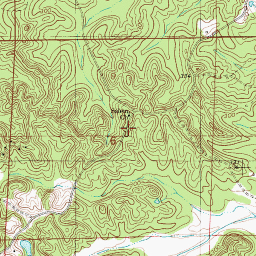 Topographic Map of Salem Cemetery, AL