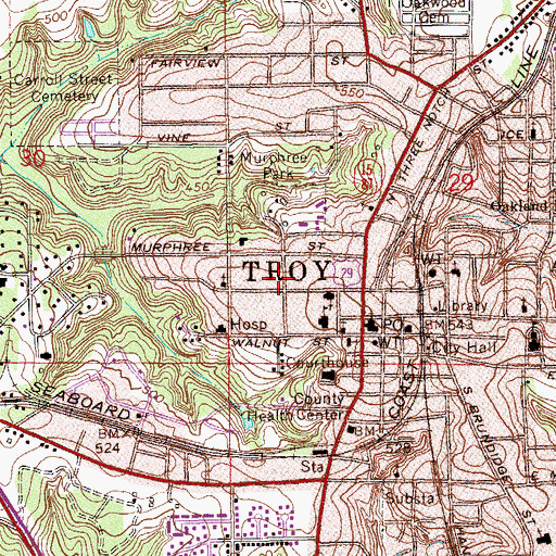 Topographic Map of College Street Historic District, AL