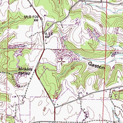 Topographic Map of Gaston Cemetery, AL
