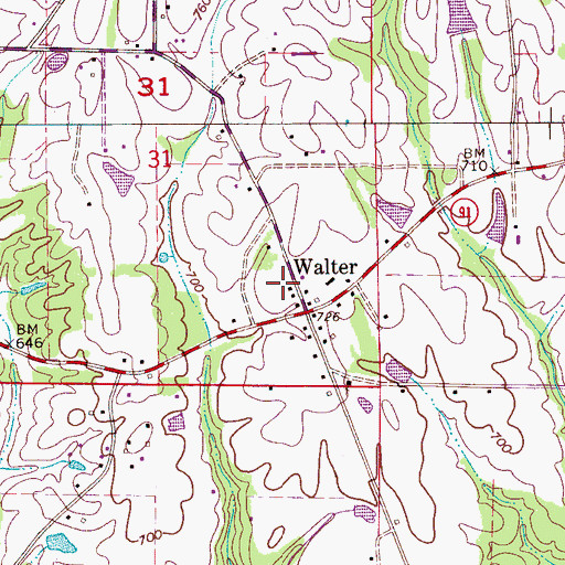 Topographic Map of Walter Community Center, AL