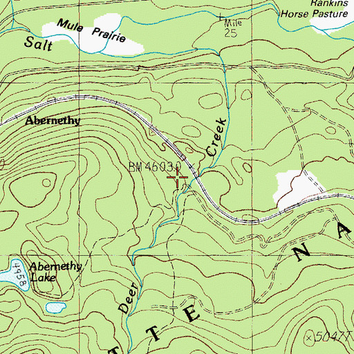 Topographic Map of Abernethy, OR